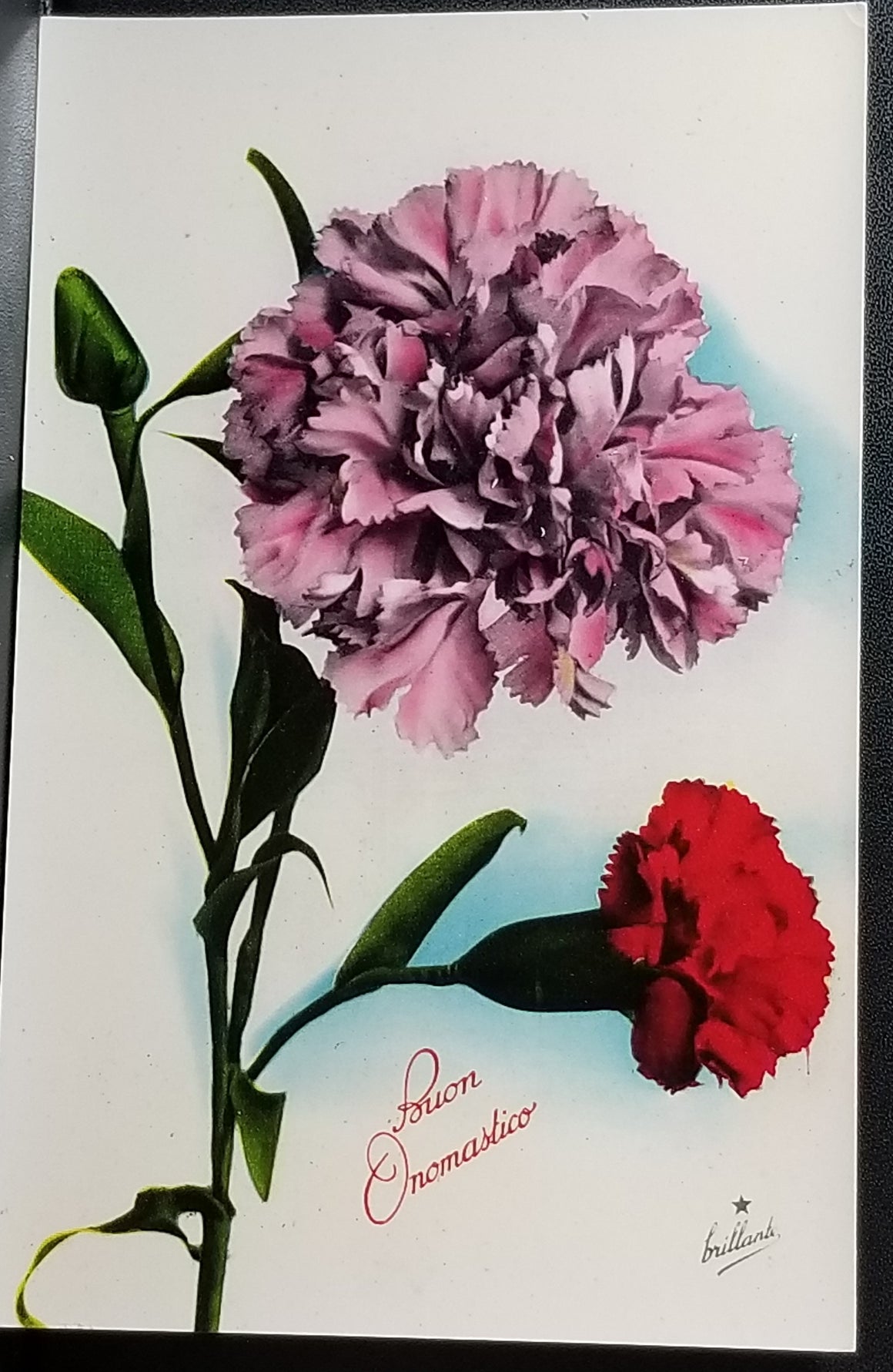 Birthday Flower Postcard Italian Name Day Pink Red Carnations Series 814 Made in Italy