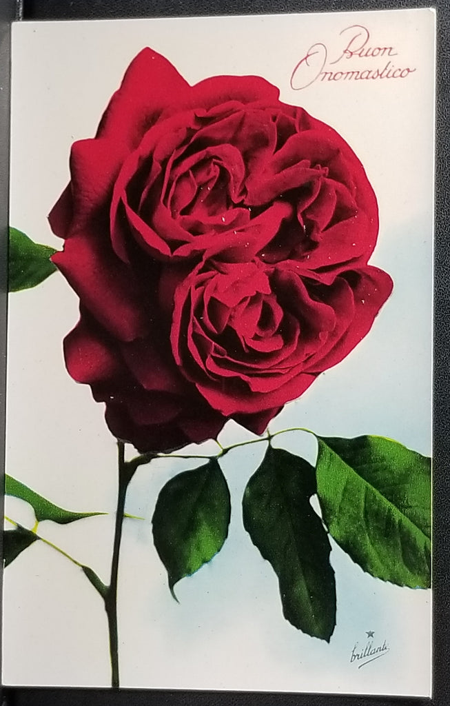 Birthday Flower Postcard Italian Name Day Brilliant Style Red Rose Series 814 Made in Italy