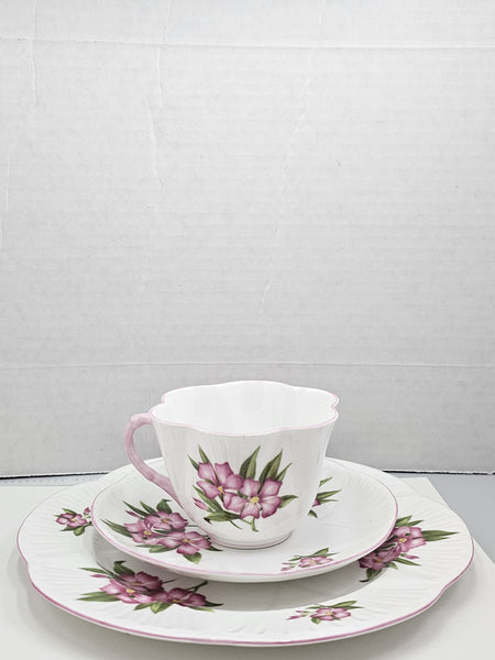 Shelley England Dainty Porcelain Cup Saucer Trio Pink Oleander