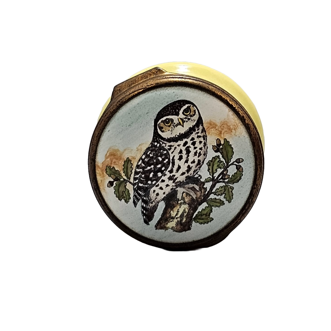 Vintage Halcyon Days Bilston Battersea Enamel Painted Trinket Box Owl on Lid Songbird On Interior