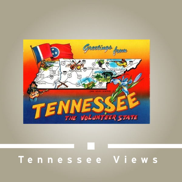 TN Views