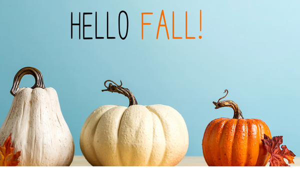 Fall Highlights