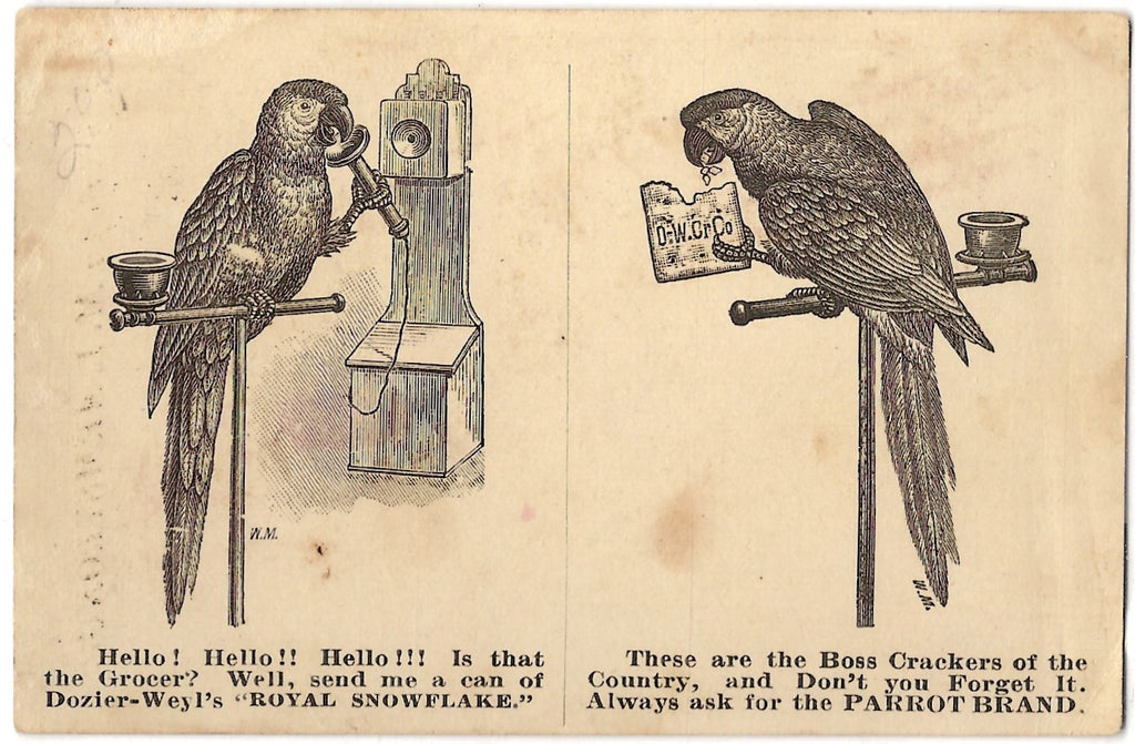 Advertising Trade Card  1880s Dozier Weyl Cracker Co Parrot with Illustration on Front & Back