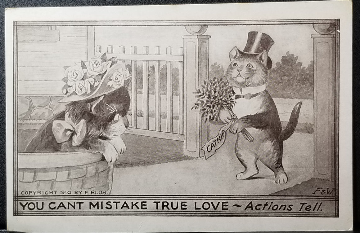 Cat Postcard Anthropomorphic Cats Fancy Dressed Courting with Flowers Artist Bluh F&W "You Can't Mistake True Love"