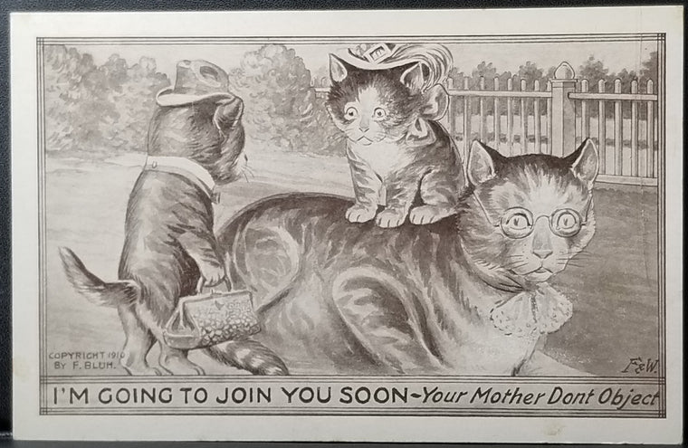 Cat Postcard Anthropomorphic Cats Fancy Dressed Riding Large Mama Kitty Artist Bluh F&W "I'll Be Joining You Soon"