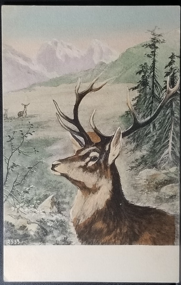 Hand Colored 1900s Postcard Large Deer Austrian Alps Artist E. Docker