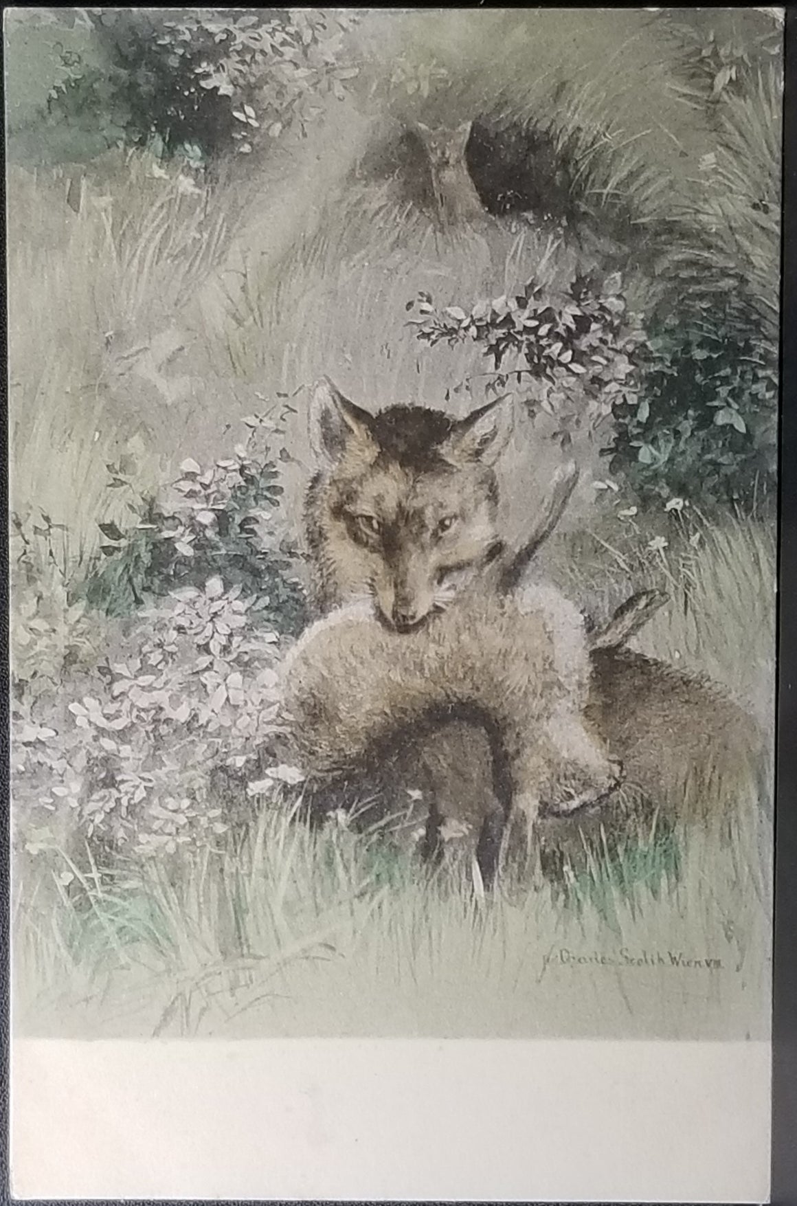 Hand Colored 1900s Postcard Fox on the Hunt Series 626 Artist Signed