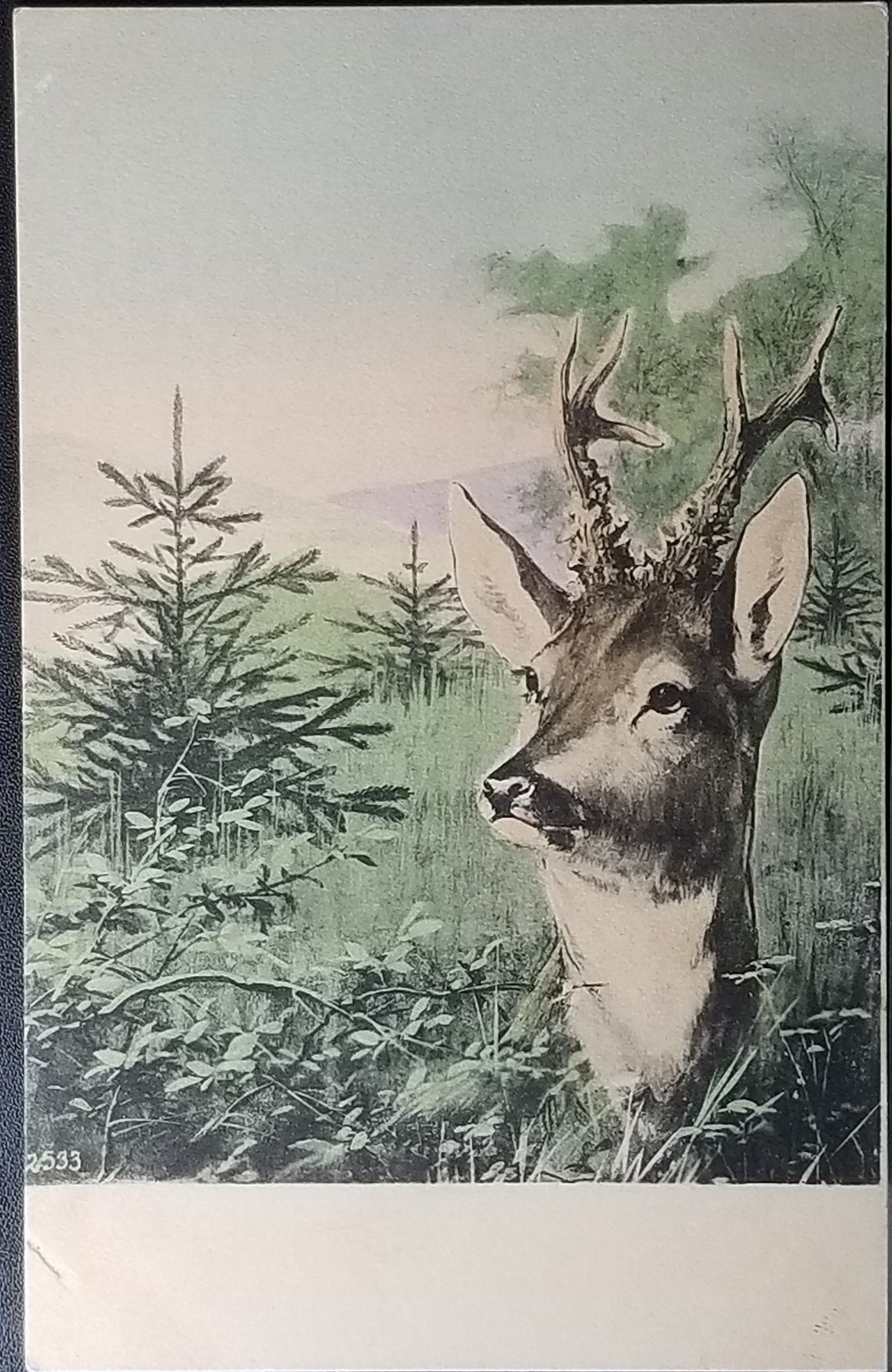 Hand Colored 1900s Postcard Austrian Alps Deer in Pine Meadow