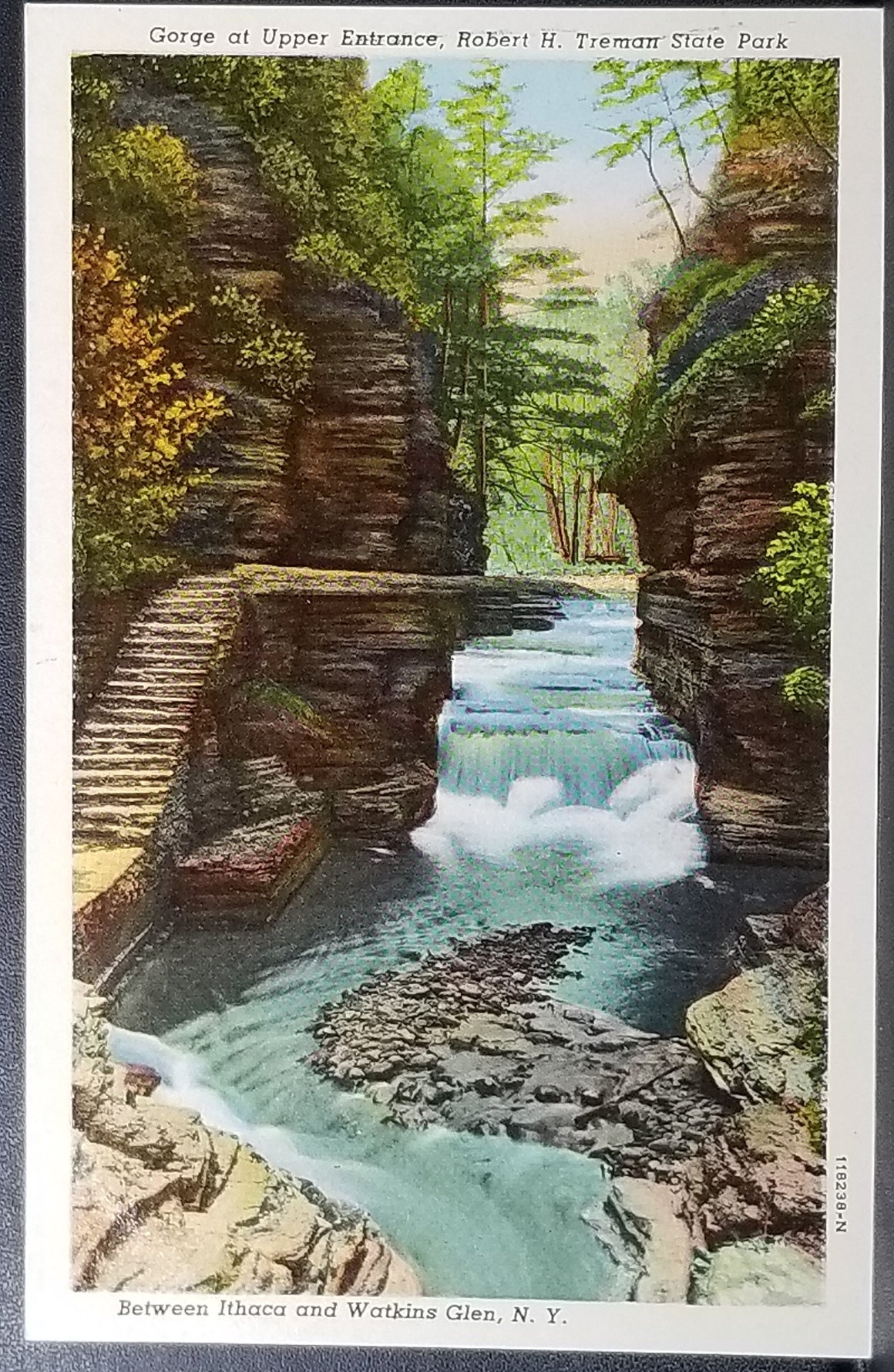 NY Scenic Linen Postcard Finger Lakes Region Central New York Ithaca Watkins Glen Treman State Park Upper Gorge