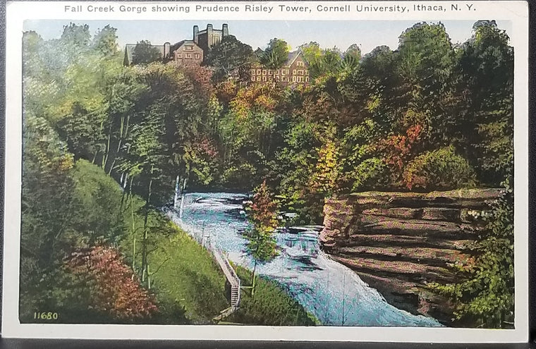 NY Scenic Linen Postcard Finger Lakes Region Central New York Fall Creek Gorge Prudence Risley Tower Cornell University