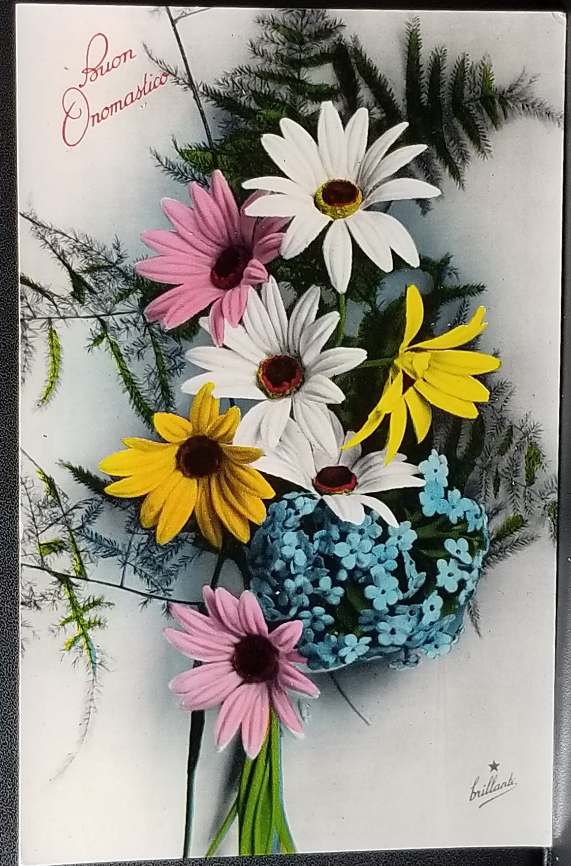Birthday Flower Postcard Italian Name Day Daisies Series 814 Made in Italy