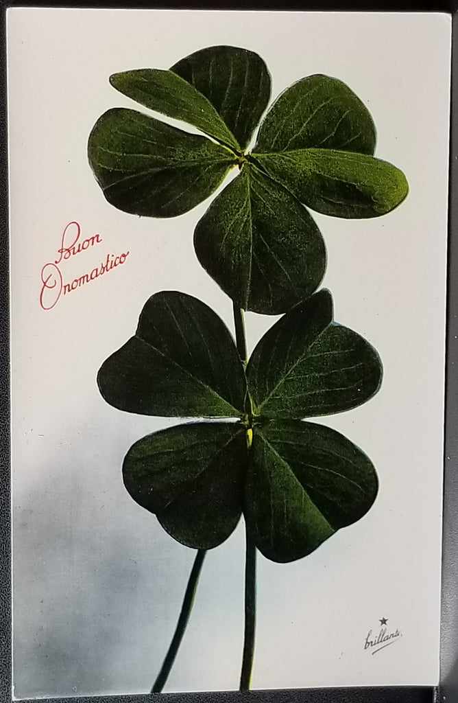 Birthday Flower Postcard Italian Name Day Four Leaf Clovers Series 814 Made in Italy