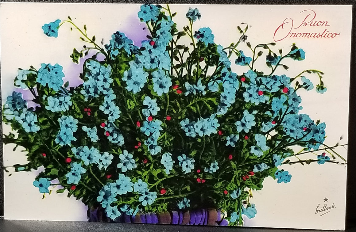 Birthday Flower Postcard Italian Name Day Blue Phlox Series 814 Made in Italy