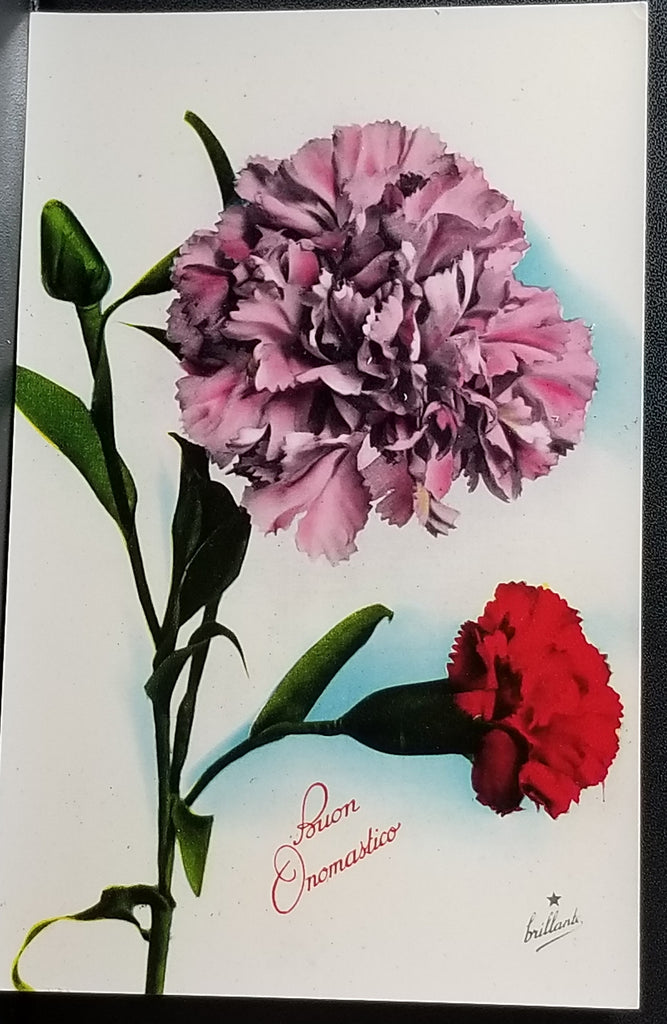 Birthday Flower Postcard Italian Name Day Pink Red Carnations Series 814 Made in Italy