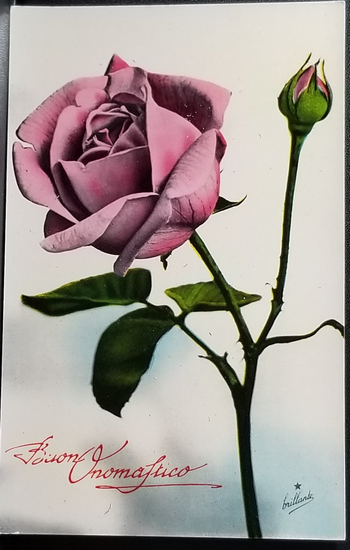Birthday Flower Postcard Italian Name Day Brilliant Style Pink Rose Series 814 Made in Italy