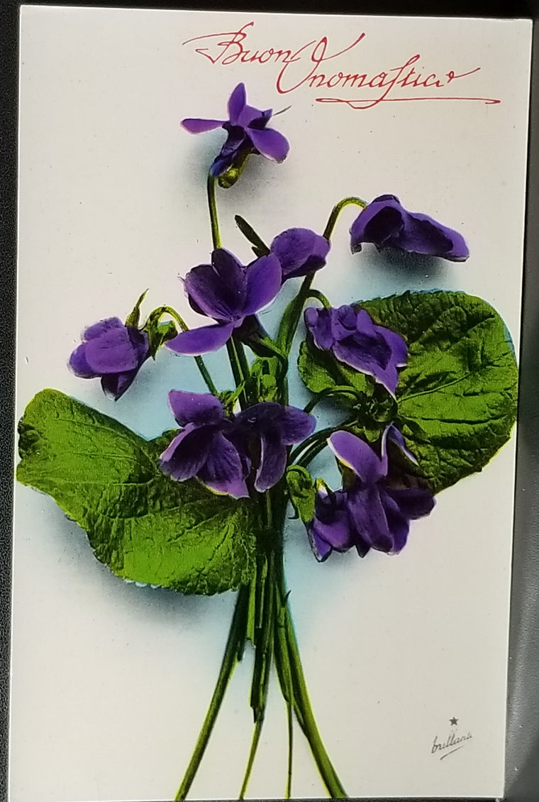 Birthday Flower Postcard Italian Name Day Purple Violets Series 814 Made in Italy