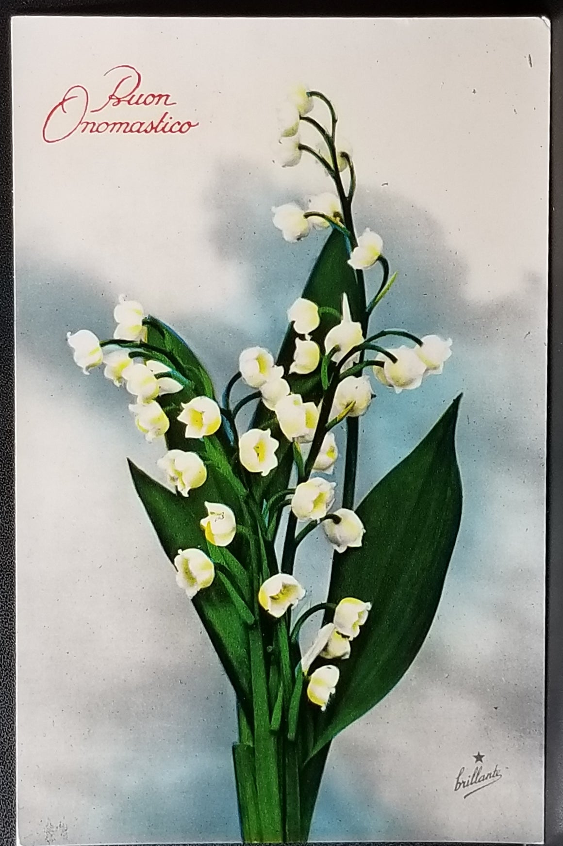 Birthday Flower Postcard Italian Name Day Lily of the Valley Series 814 Made in Italy