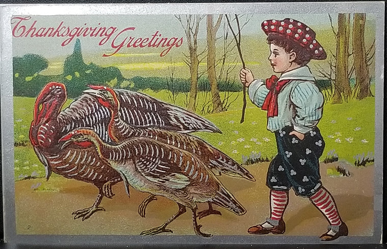 Thanksgiving Postcard Little Boy Walking Behind Group of Turkeys Silver Highlights