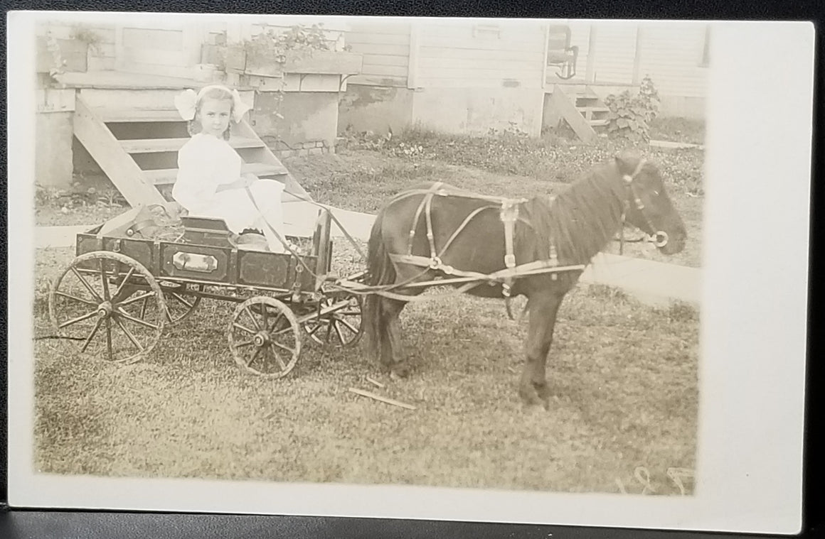 RPPC Real Photo Postcard Little Girl in Wagon Pulled by Shetland Pony