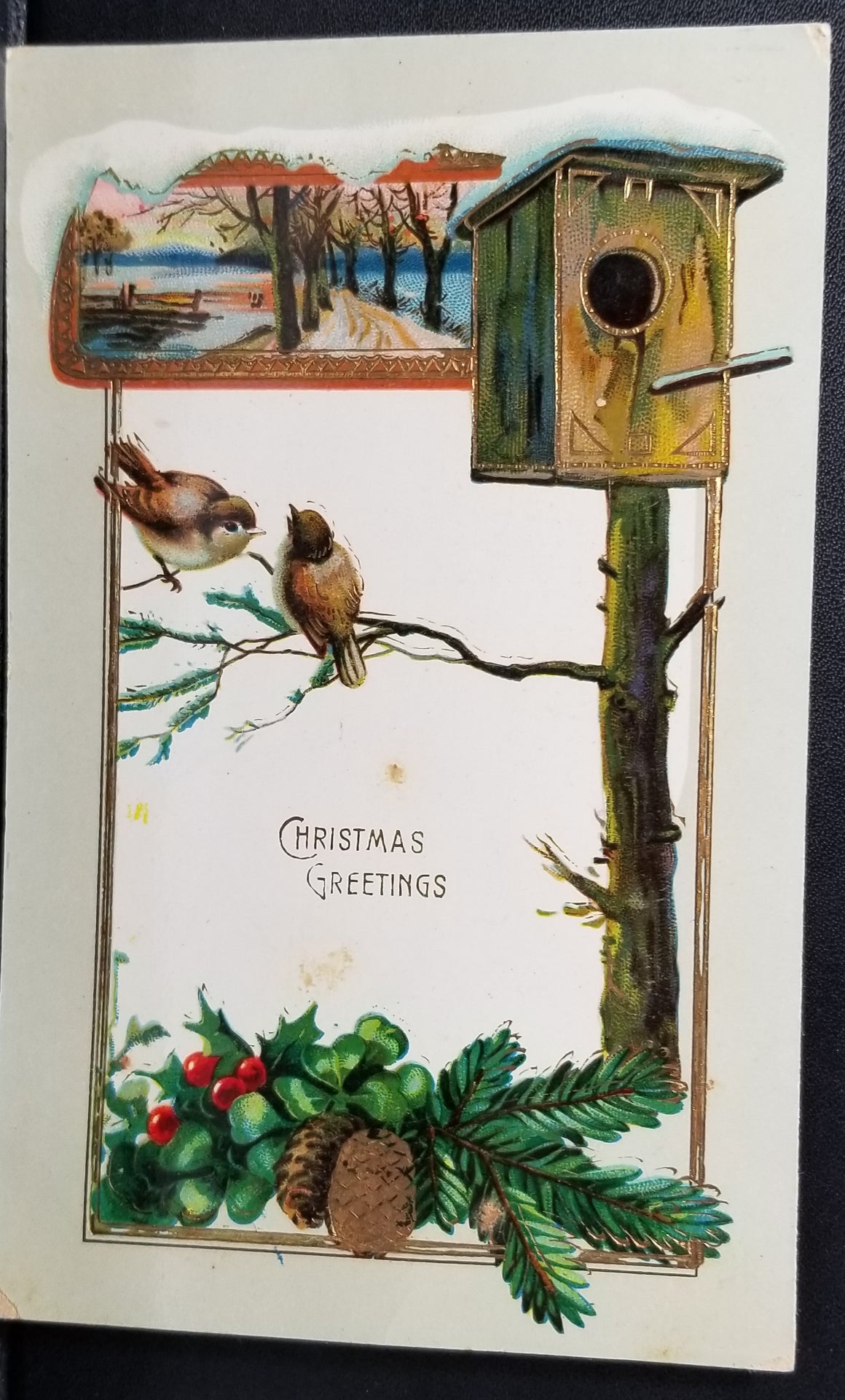 Christmas Postcard Birds at Feeder in the Snow Gold Highlights Germany Series 11233