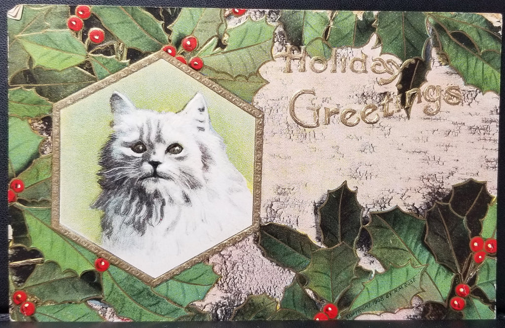 Christmas Postcard Portrait of Long White Haired Kitty Cat Surrounded by Holly Rose Pub