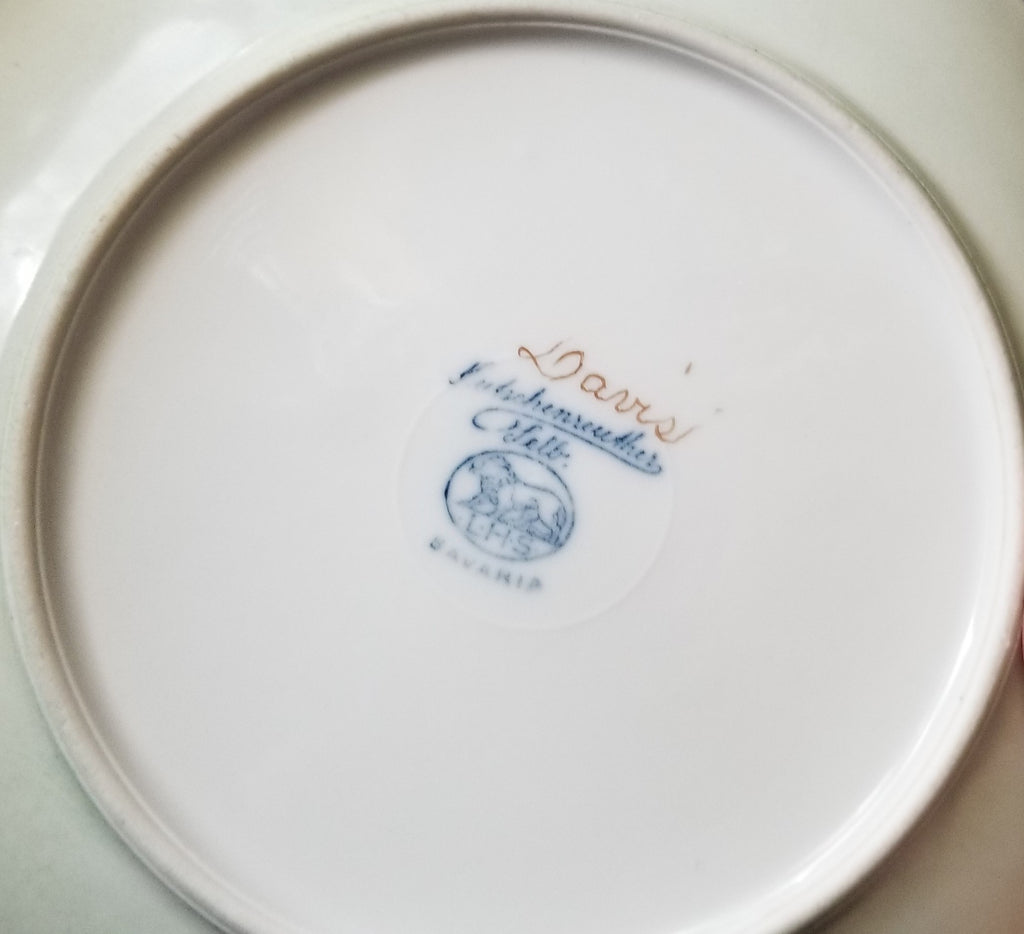 Bavarian Porcelain Plate Set of Six (6) Hand Painted Pink Floral Decor