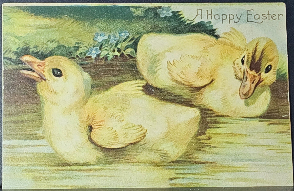 Easter Postcard Two Ducklings in Water