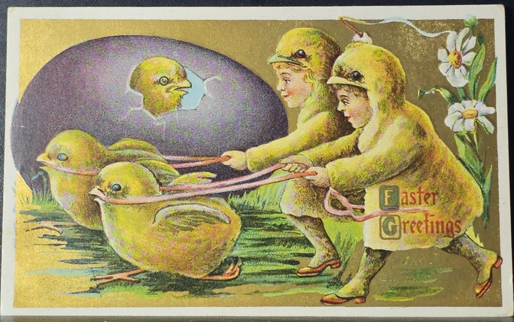 Easter Postcard Embossed  Fantasy Kids in Chick Costumes Walking Leashed Chicks With Hatching Purple Colored Egg