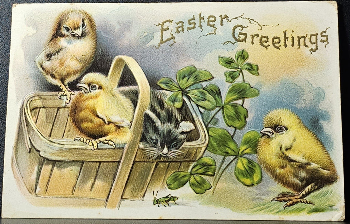 Easter Postcard Baby Chicks with Kitten in Basket with Four Leaf Clovers