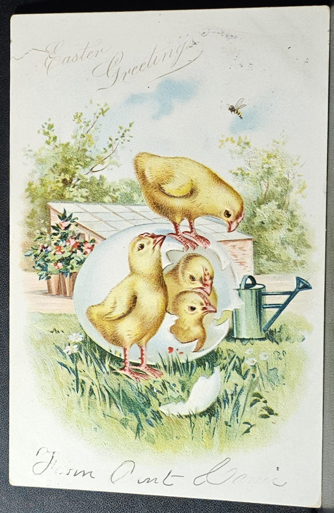 Easter Postcard Baby Chicks Hatching Out of Egg Early Undivided Raphael Tuck Card