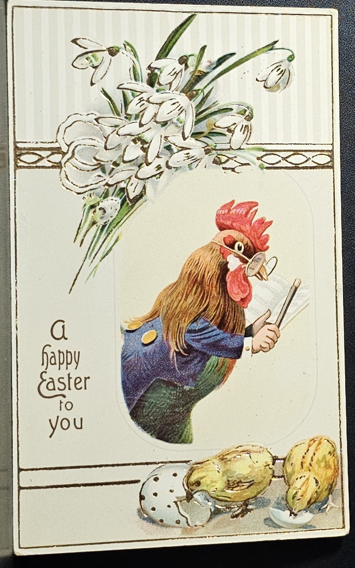Easter Postcard Anthropomorphic Rooster Conductor with Baby Chicks Gold Highlights Germany