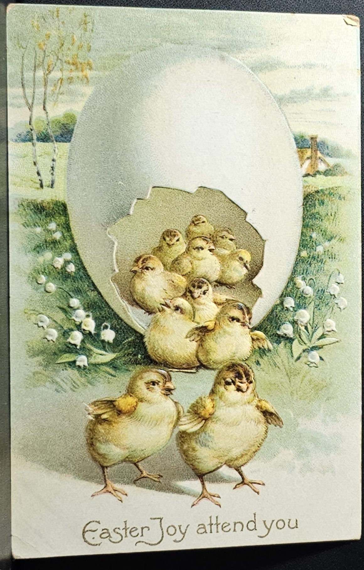Easter Postcard Baby Chicks Emerging From Giant Egg IAP Card