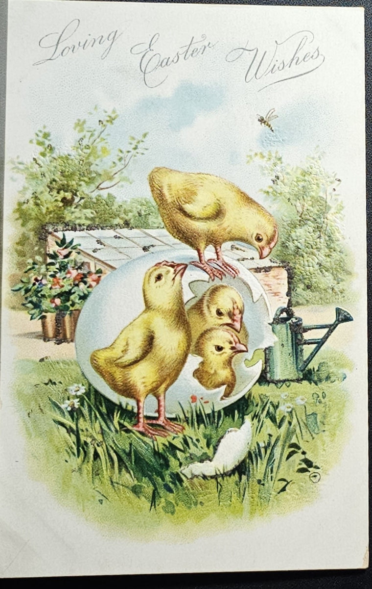 Easter Postcard Baby Chicks in Giant Egg Raphael Tuck Series 111