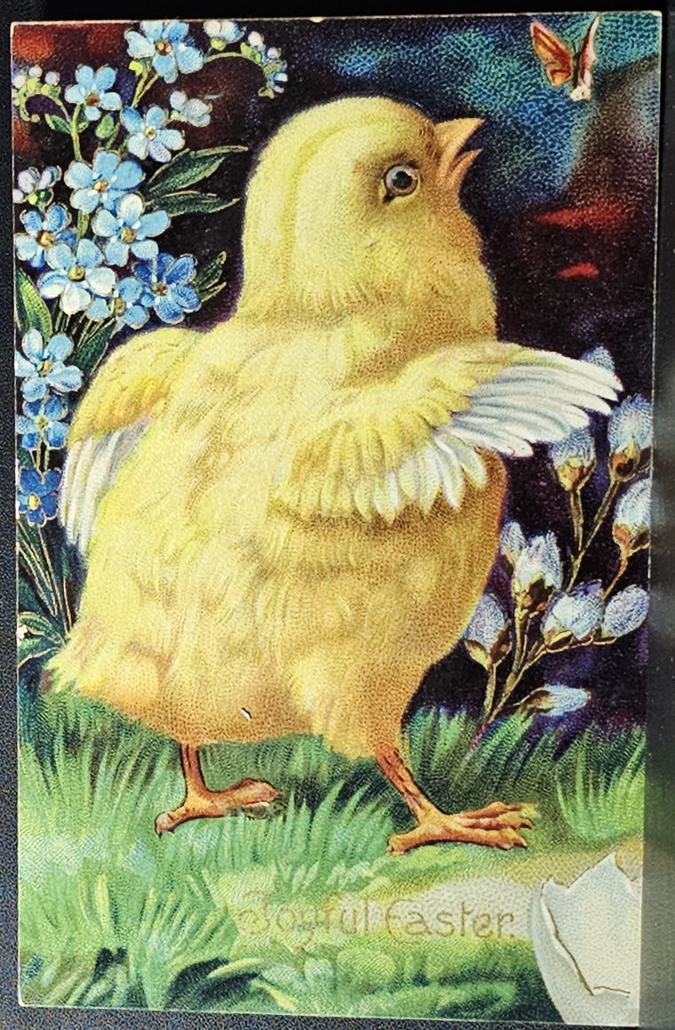 Easter Postcard Baby Chick Chasing Butterfly Embossed with Shiny Finish Series 1520