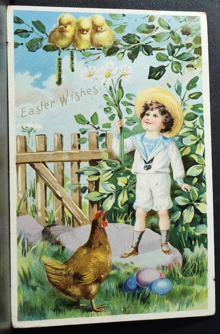 Easter Postcard Little Boy in Sailor Suit Showing Baby Chicks Flowers Mother Hen Watches Raphael Tuck Undivided