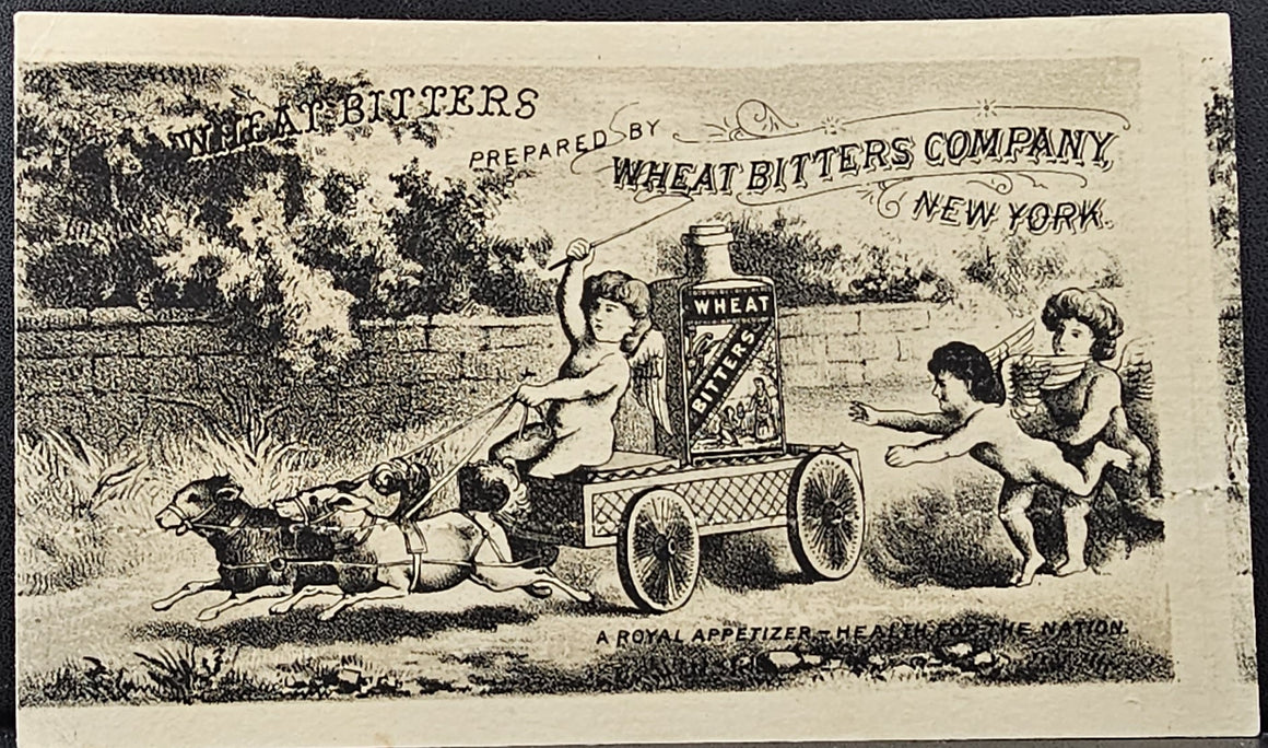 Advertising Trade Card Wheat Bitters Co. Blood Brain & Nerve Food Cherubs Driving Wagon Pulled by Dogs