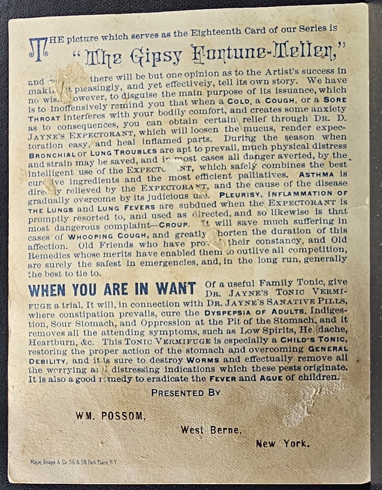 Advertising Trade Card The Gypsy Fortune Teller Dr Jayne