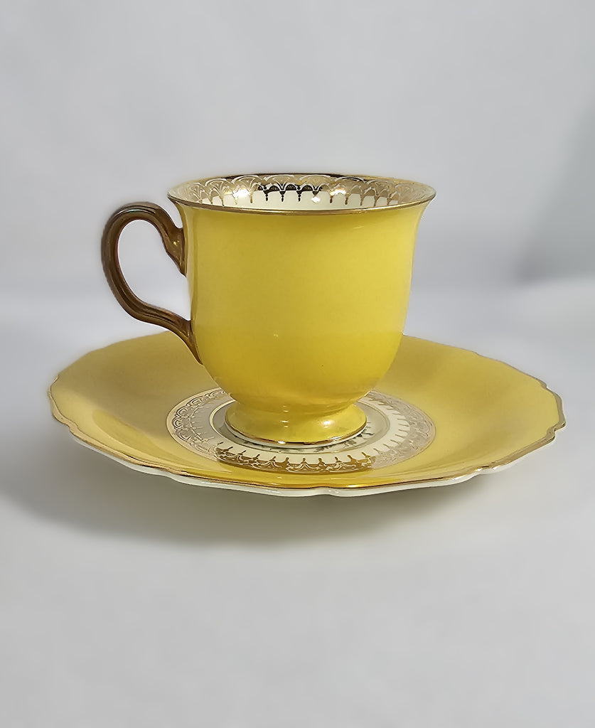 Vintage Mid Century Rosenthal Continental Ivory Porcelain German Bavarian Yellow Cup Saucer with Roses