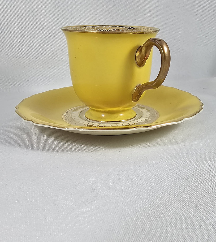 Vintage Mid Century Rosenthal Continental Ivory Porcelain German Bavarian Yellow Cup Saucer with Roses