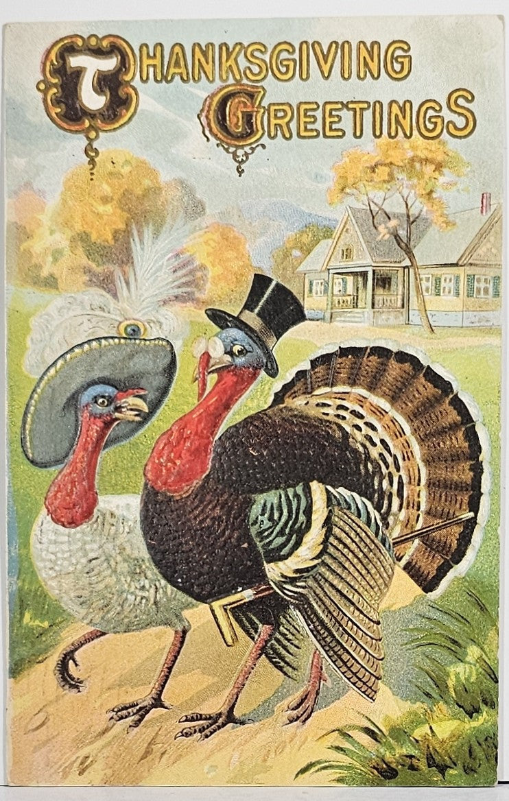 Thanksgiving Postcard Anthropomorphic Turkey and Wife Dressed for Stroll on Lane Series 134