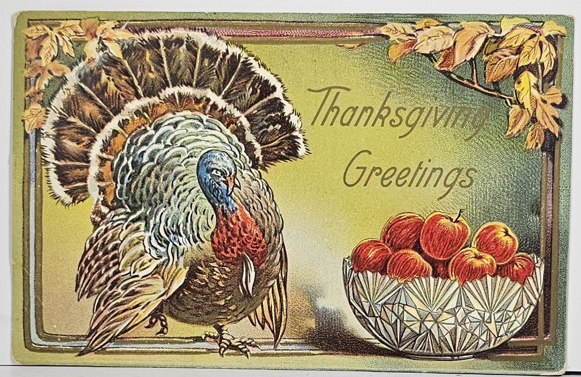Thanksgiving Postcard Anthropomorphic Turkey with Bowl Full of Apples Autumn Colors and Border