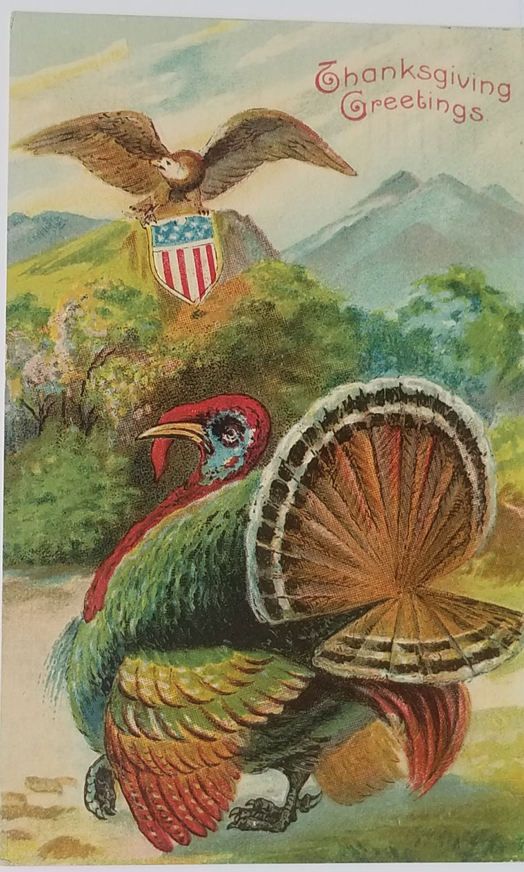 Thanksgiving Postcard Embossed Eagle Carrying American Flag Shield Colorful Turkey on Ground Series 848