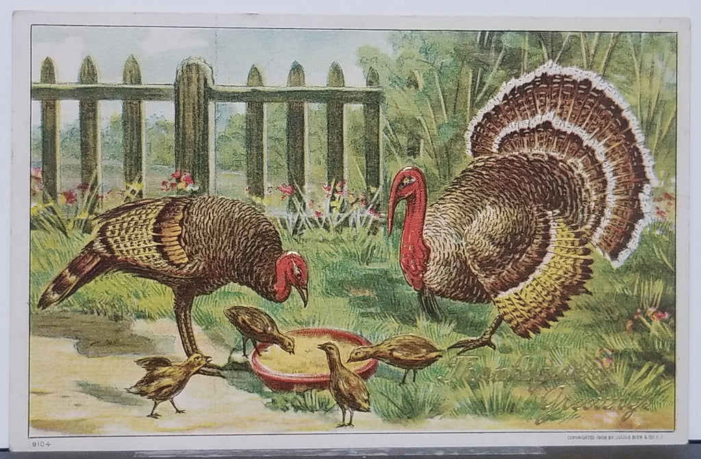 Thanksgiving Postcard Embossed Turkey Family Eating In Yard Series 910