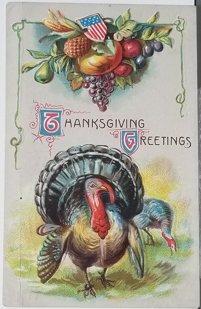 Thanksgiving Postcard Embossed Turkey Beneath Fruit American Flag Shield Series 840