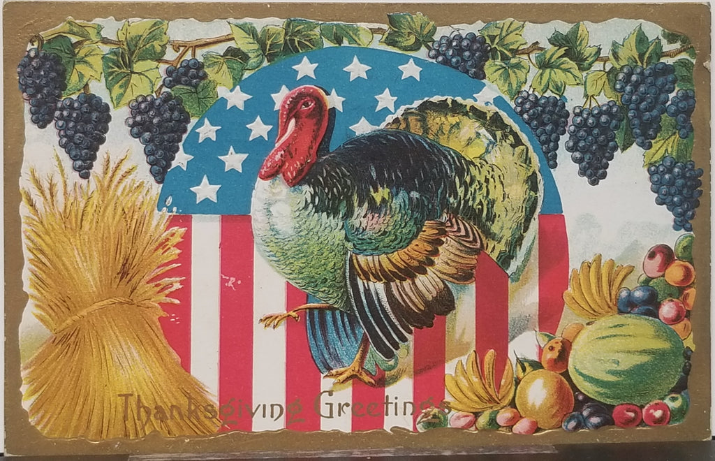 Thanksgiving Postcard Embossed Turkey in American Flag Shield Fruit Autumn Foliage Gold Border