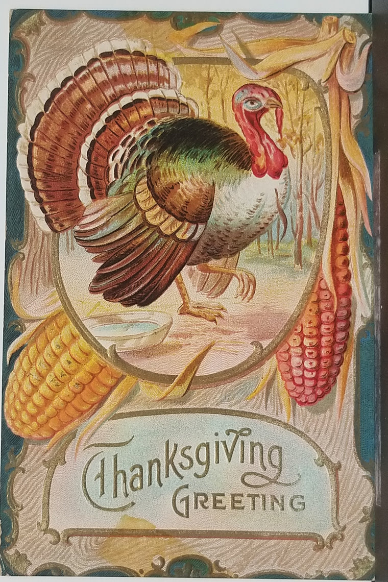 Thanksgiving Postcard Embossed Turkey Gobbler with Maize Corn Greetings Card