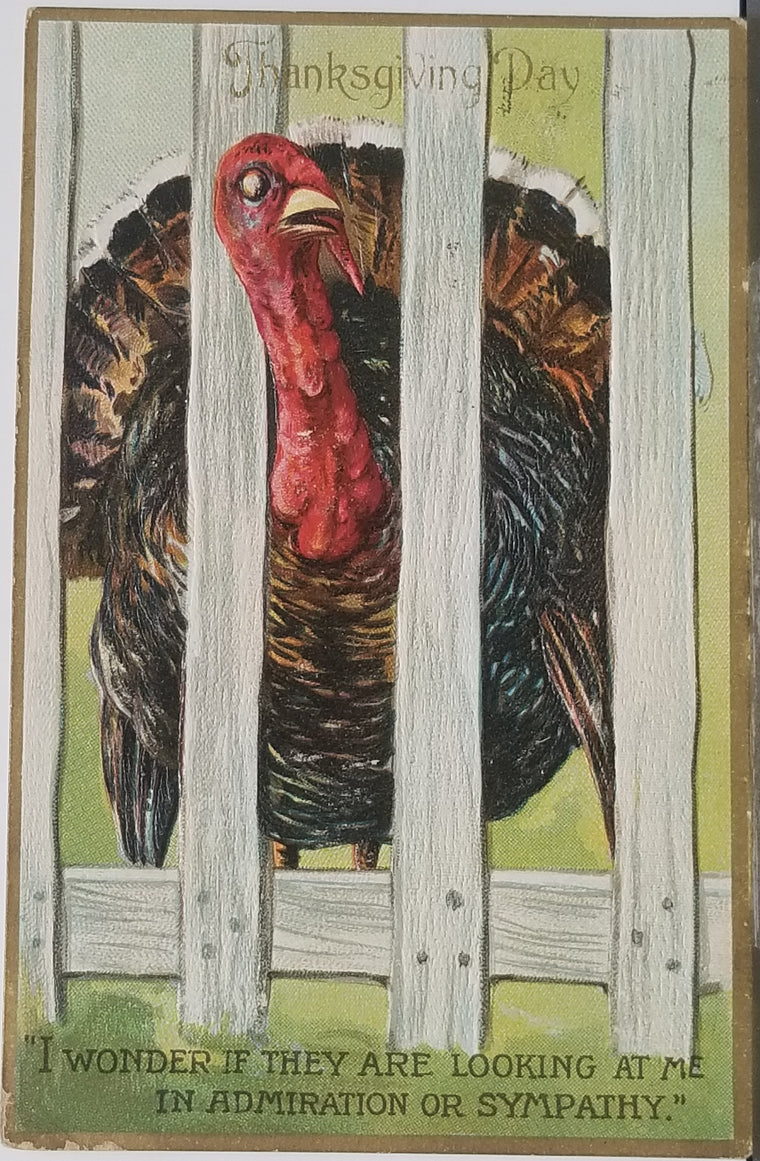 Thanksgiving Postcard Embossed Turkey Behind Fence Raphael Tuck Publishing Series 162
