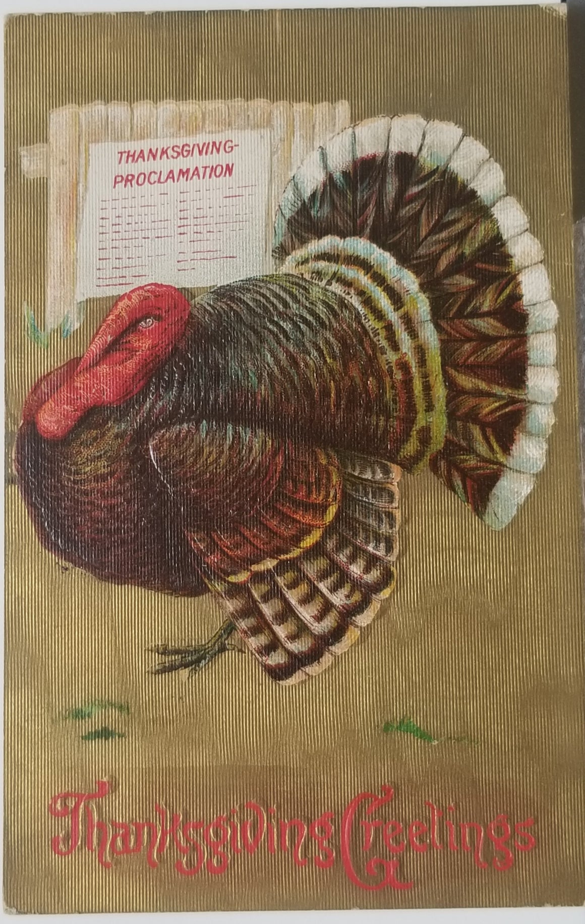 Thanksgiving Postcard Embossed Turkey Gobbler Proclamation Sign Gold Texture Background