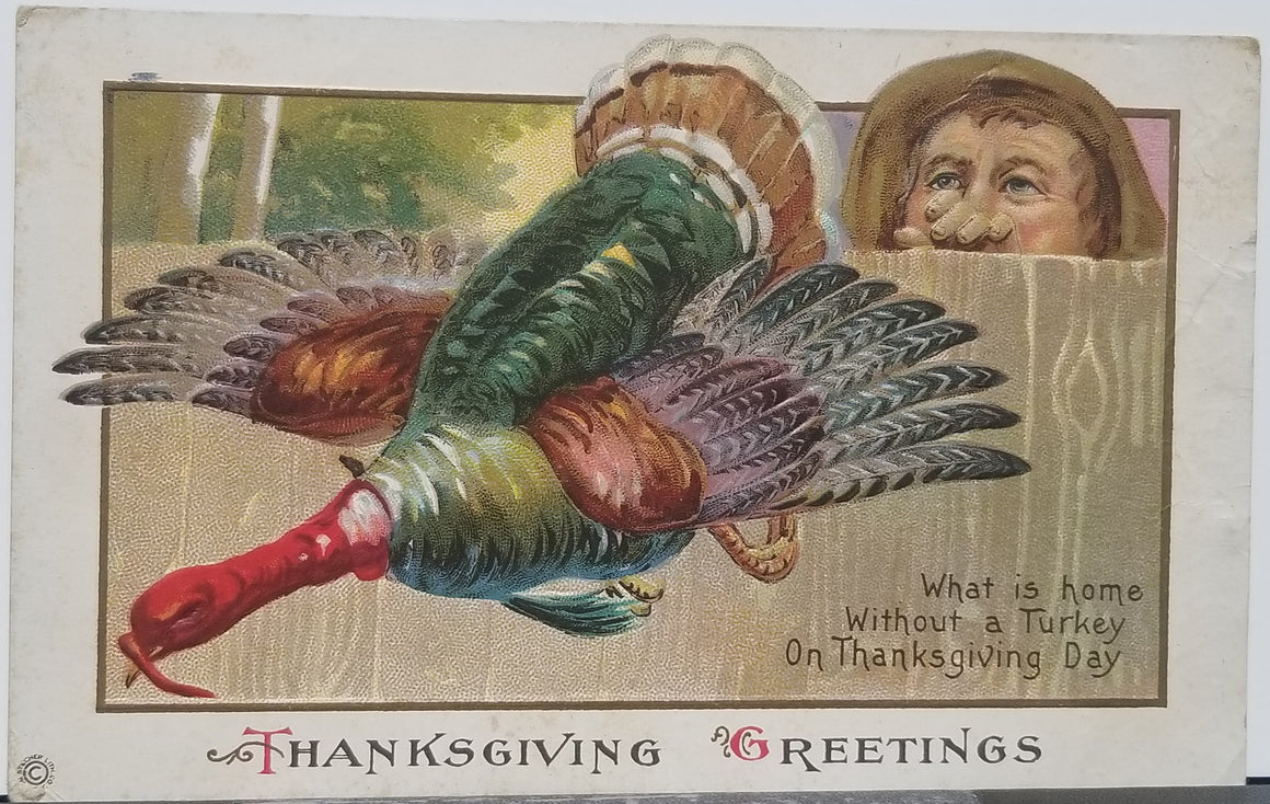 Thanksgiving Postcard Embossed Turkey Flying Away from Man at Gate No 72