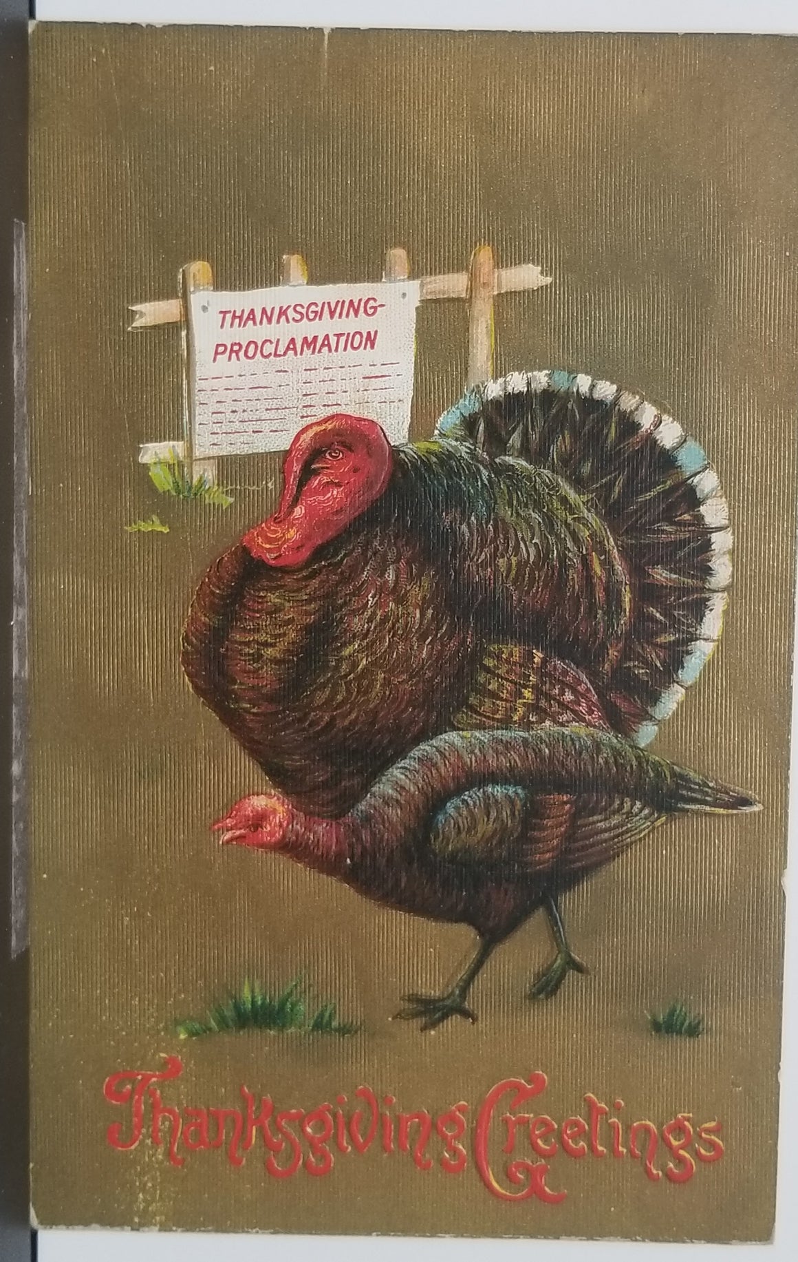 Thanksgiving Postcard Embossed Turkeys Proclamation Sign Gold Background